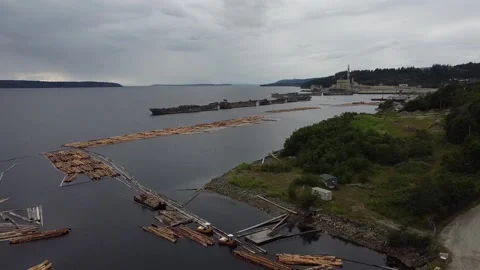 Drone Shot of Logs and Small Tug Boats with Old Mill in Background Stock Footage 233470030