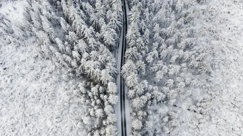 Drone Shot of Long Road by Forest and a SUV Passing Through It During Winter Video stock 133264764