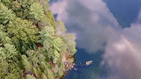 Drone shot looking down at reflection of sky with river and forest in picture Stock Footage 322195191