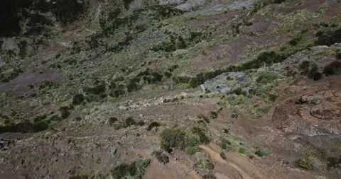 Drone shot looking down steep mountainside Madeira Island Stock Footage 140623317