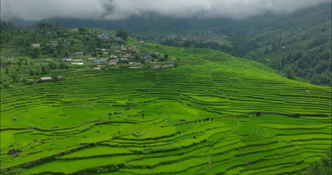 Drone shot of lush terraced fields revealing expansive valley in Stock Footage 345394157