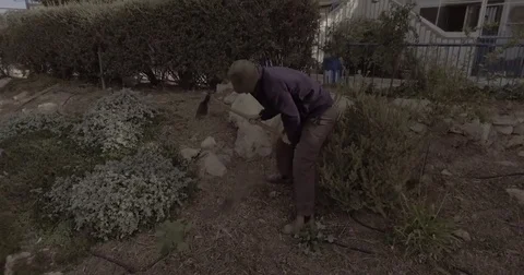Drone shot of man digging in garden out to city 5 Stock Footage 82639515