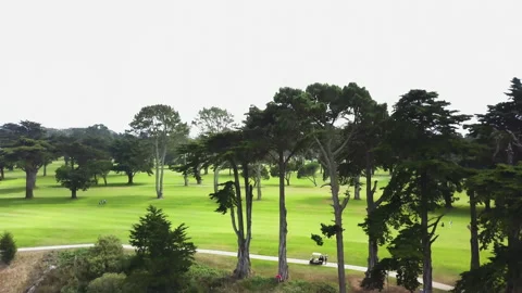 Drone shot of man looking for ball on golf course 4k Stock Footage 235633280