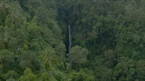 Drone shot of the most large and beautiful waterfalls in Bali Stock Footage 112738211