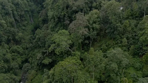 Drone shot of the most large and beautiful waterfalls in Bali Stock Footage 112738546