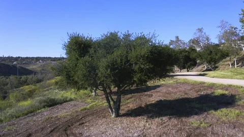 Drone Shot of Mostly Empty Hiking Trail 動画素材 128990470