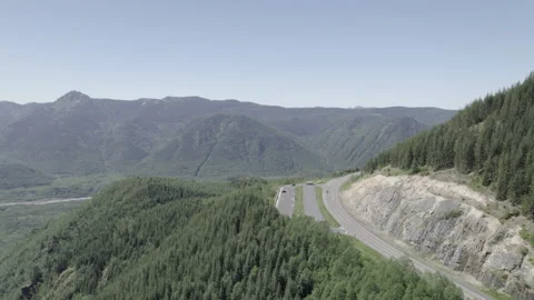 Drone Shot of Mount St Helens Trees Stock-Footage 207215735