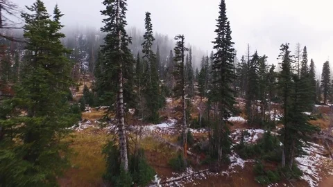 Drone shot of a mountain covered with pine trees and fog. Snow is on the ground. Stock Footage 101040399