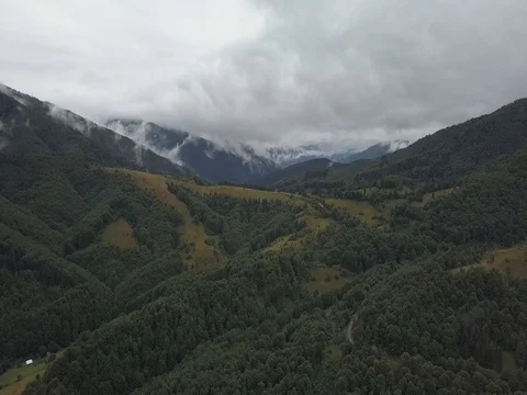 Drone shot: Mountain forest partly covered in clouds after rain, Ukraine Stock Footage 81911275