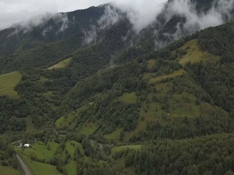 Drone shot: Mountain forest partly covered in clouds after rain, Ukraine Stock Footage 81911300