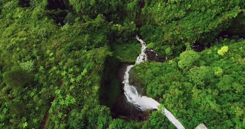 Drone shot of mountain rainforest with waterfall hidden in thick mist Video stock 333223894