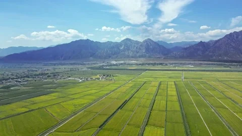 Drone shot Mountain range rice fields in the west Stock-Footage 234105420