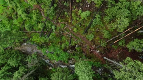 Drone shot of the mountain spring in the forest. Carpathian mountains. Gorgan Stock Footage 168660960