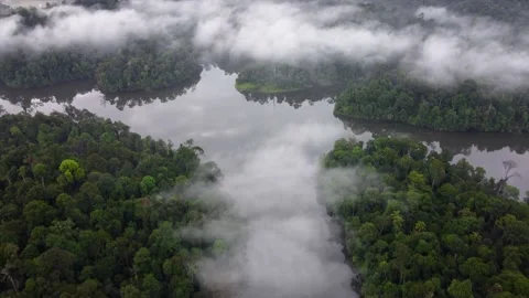 Drone shot move over misty cloud cover lake Video stock 229423309