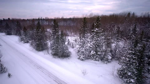 Drone shot moving across a cold, snow-covered Upper Peninsula landscape Vídeos de archivo 334766577