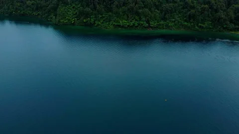 Drone shot moving down and up revealing trees on Lake shore Stock Footage 230992351