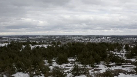 Drone shot moving forward on a pine tree covered snowy landscape Stock Footage 120652018