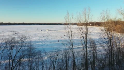 Drone shot moving forward towards the naked trees in winter and flying above Stock Footage 164253091