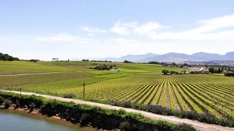 Drone shot moving over the dam and vineyards Stock Footage 288218326
