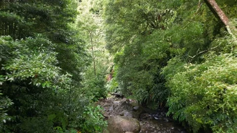 Drone shot moving under a bridge by the river near the Salto do Cabrito Stock Footage 321079466