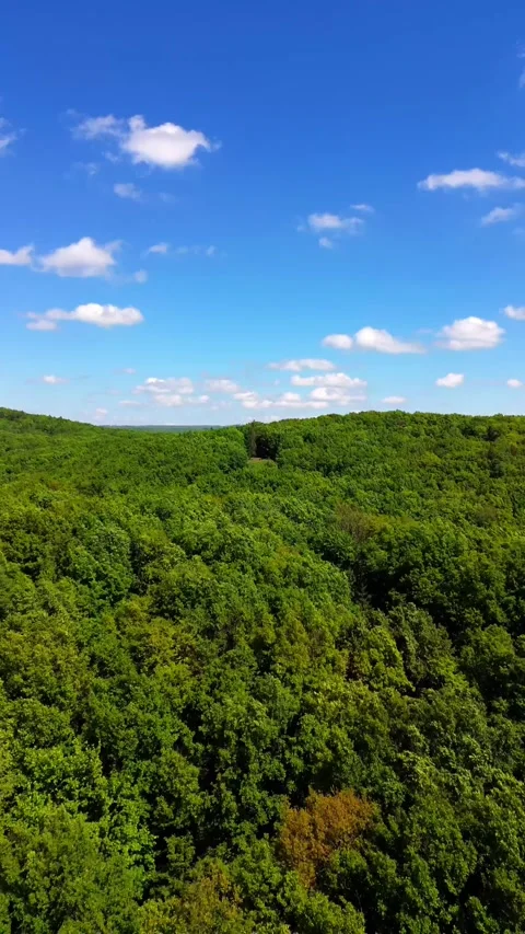 Drone shot of nature 4K 動画素材 278920891