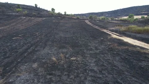 Drone shot of nature covered in ash because of the fire. Stock Footage 159603053