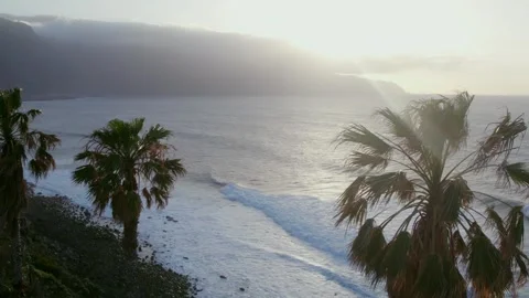 Drone shot of the ocean coast with waves through the palmas in the golden hour Video stock 279334916