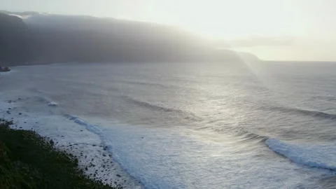 Drone shot of the ocean coast with waves through the palmas in the golden hour Stock Footage 288370825