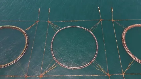 Drone Shot of Offshore Fish Farming Facilities in Japan Stock Footage 337728958
