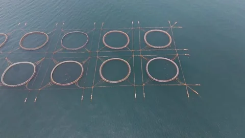 Drone Shot of Offshore Fish Farming Facilities in Japan Stock Footage 337729005