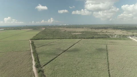 Drone Shot of Open Fields in Dominican Republic Stock Footage 230689464