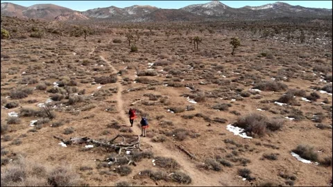 Drone shot over 2 backpackers walking in Joshua tree on snowy winter Stock Footage 241362484