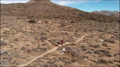 Drone shot over 2 backpackers walking in Joshua tree on a bright sunny day Stock Footage 241362489