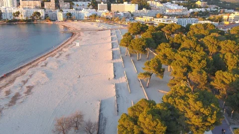 Drone shot over beach and trees at sunset with inspire 2 Stock Footage 100439004
