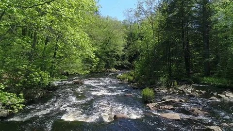 Drone Shot Over a Calm River in the Woods - 03 Stock Footage 77933354