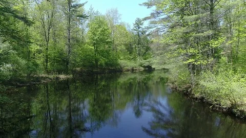 Drone Shot Over a Calm River in the Woods - 04 Stock Footage 77934030