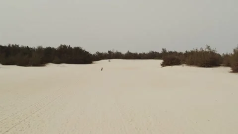 Drone shot over dunes at the beach approaching someone. 스톡 동영상 277118625
