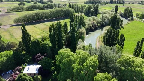 Drone shot over expansive green fields, showing patchwork of crops and winding Stock Footage 310327154
