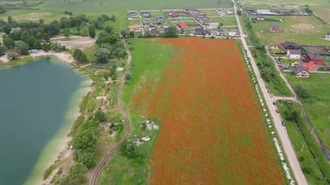 Drone shot over a field with blooming poppies, lake and village. 動画素材 224710127
