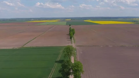 Drone shot over fields, Vistula valley Poland Stock Footage 242802579