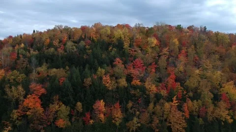 Drone Shot Over the Forest and Mountains in Autumn Stock Footage 179021267