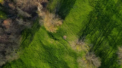 Drone shot over forest and mountain Stock Footage 273696718