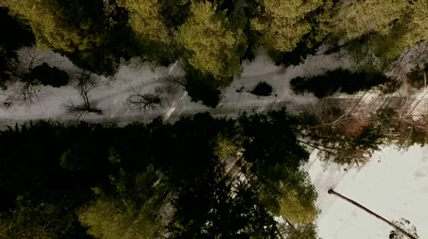 Drone shot over the forest. Close up  Vídeo Stock 61387008