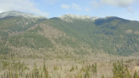 Drone shot over forest Video stock 126139470