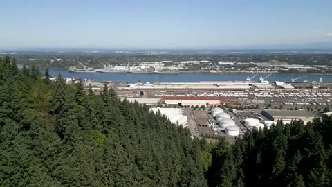 Drone shot over forest park approaching industrial buildings Stock Footage 251744331