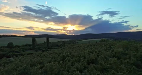 Drone shot over green meadows before sunset in Hungary Stock Footage 139876105