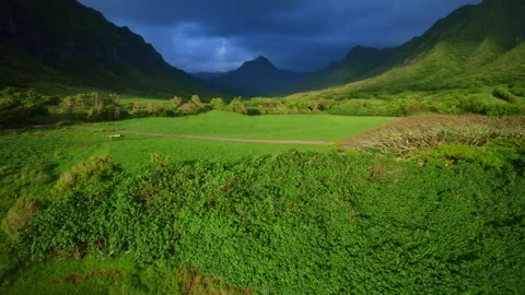 Drone Shot Over Kualoa Ranch With Dark Clouds Above Stock Footage 336575721
