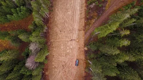 Drone Shot Over A Logging Road With Pine Trees Stock Footage 143636628