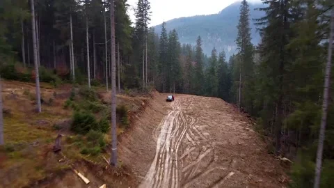 Drone Shot Over Logging Road Video stock 143637769