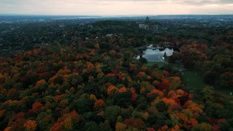 Drone shot over Mont Royal parc in Montreal during fall with colorful Stock Footage 261558905
